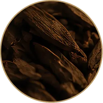 collection-img